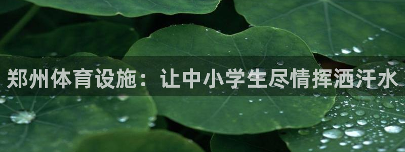 意昂3娱乐代理怎么样
