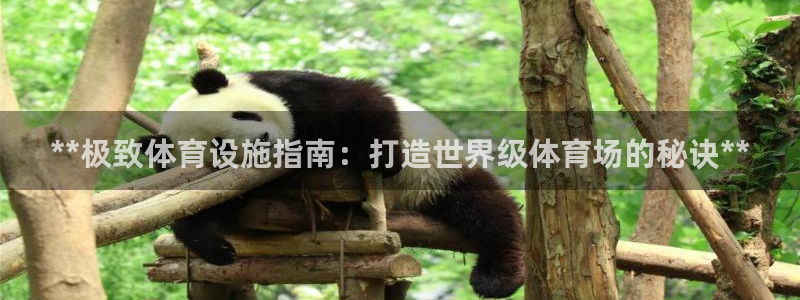意昂3集团官网网址