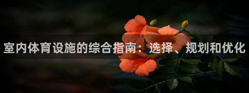 意昂3集团简介：室内体育设施的综合指南：选择、规划和