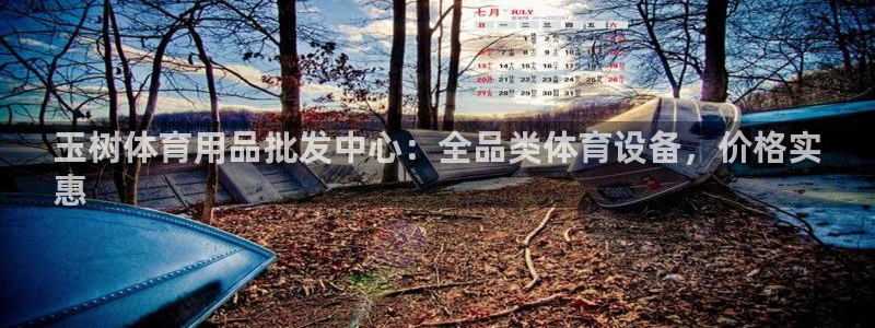 意昂3集团简介