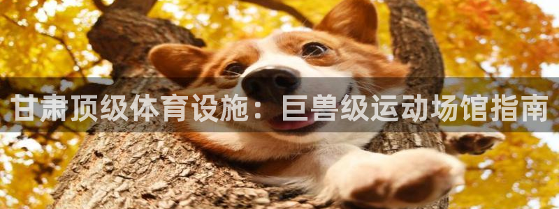 意昂3集团logo：甘肃顶级体育设施：巨兽级运动场馆