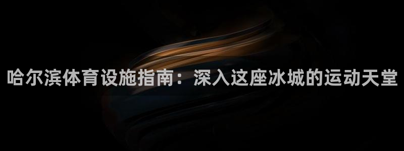 德国意昂3集团：哈尔滨体育设施指南：深入这座冰城的运