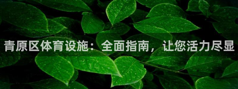 意昂3新能源：青原区体育设施：全面指南，让您活力尽显