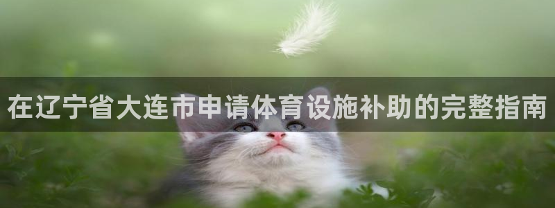 意昂体育3平台是正规平台吗安全吗：在辽宁省大连市申请