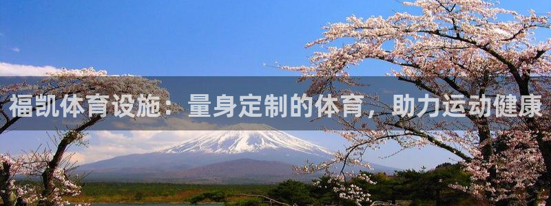 意昂体育3是干嘛的公司：福凯体育设施：量身定制的体育