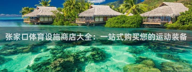 海南意昂体育3：张家口体育设施商店大全：一站式购买您