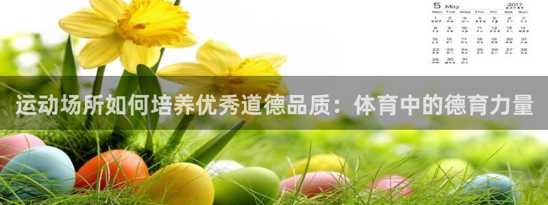 意昂体育3是干嘛的公司：运动场所如何培养优秀道德品质