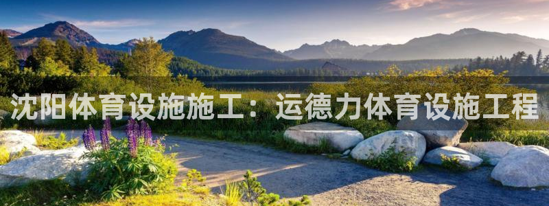 意昂体育3娱乐：沈阳体育设施施工：运德力体育设施工程