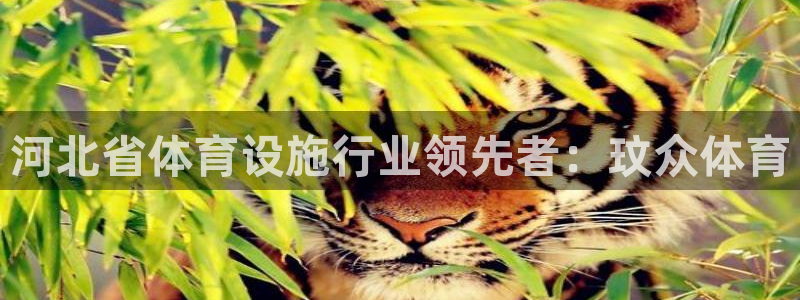 意昂3官方