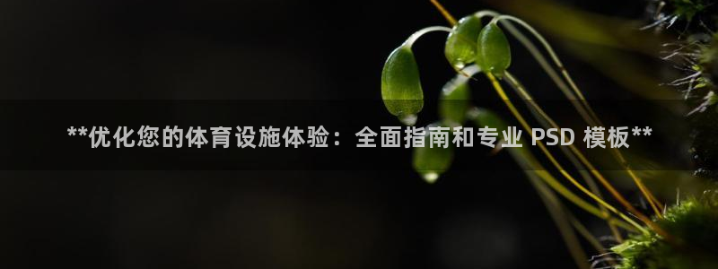 意昂体育3开户：**优化您的体育设施体验：全面指南和