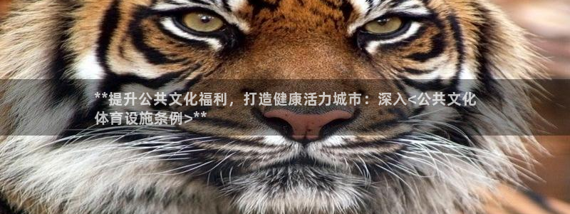 意昂3新能源：**提升公共文化福利，打造健康活力城市