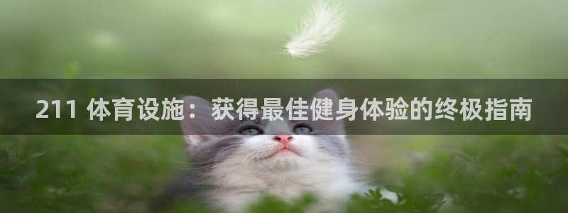 意昂体育3平台注册流程视频：211 体育设施：获得最