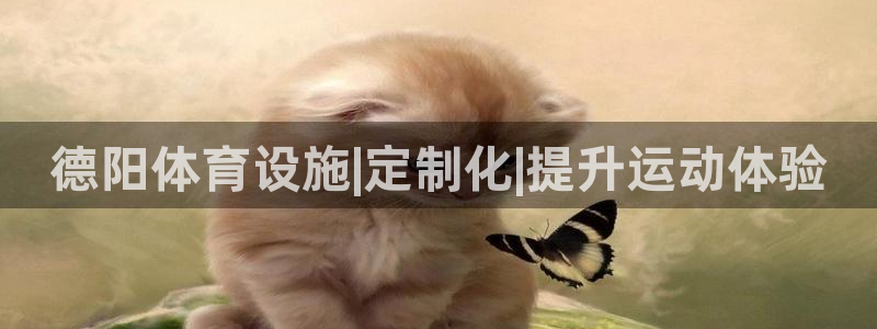 海南意昂体育3：德阳体育设施|定制化|提升运动体验