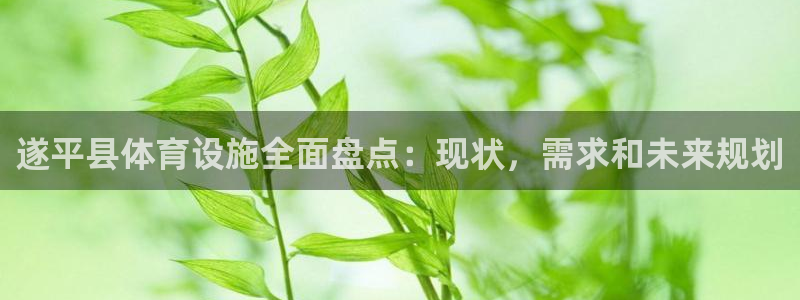 意昂3五金厂：遂平县体育设施全面盘点：现状，需求和未