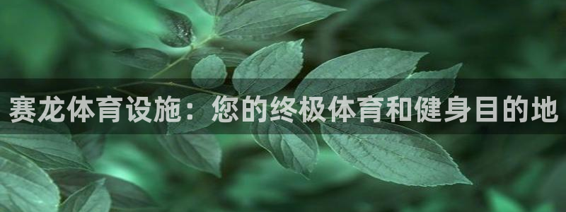 意昂体育3招商电话地址是多少：赛龙体育设施：您的终极