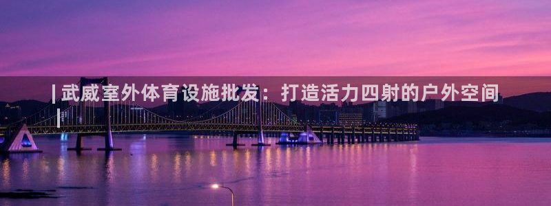 意昂体育3招商电话：| 武威室外体育设施批发：打造活