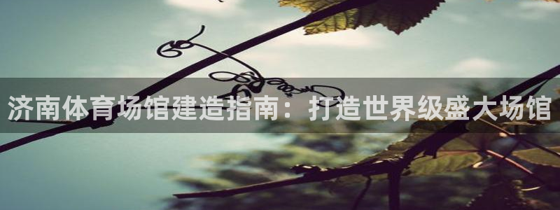 意昂3娱乐首页官网下载：济南体育场馆建造指南：打造世
