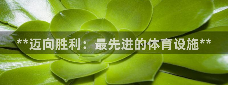 意昂体育3招商电话地址是多少：**迈向胜利：最先进的