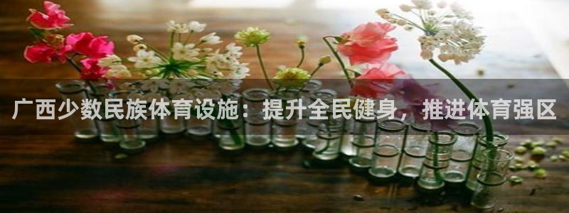 意昂3娱乐平台：广西少数民族体育设施：提升全民健身，