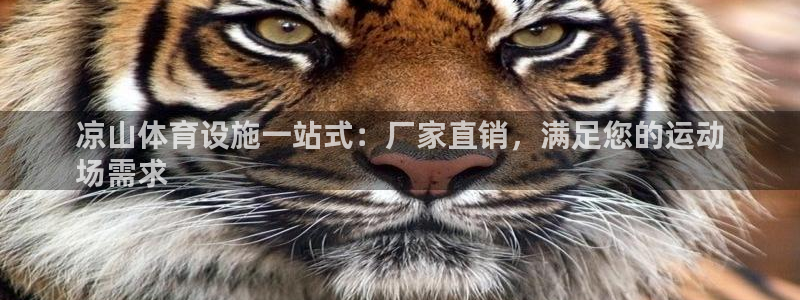 意昂3娱乐代理怎么样：凉山体育设施一站式：厂家直销，