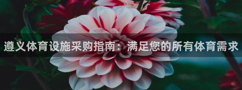 意昂3集团E.ON：遵义体育设施采购指南：满足您的所