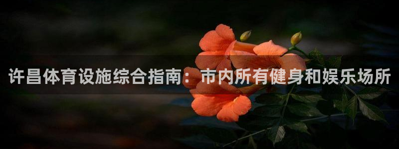 意昂体育3平台注册流程视频：许昌体育设施综合指南：市