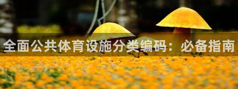 意昂3娱乐下载：全面公共体育设施分类编码：必备指南