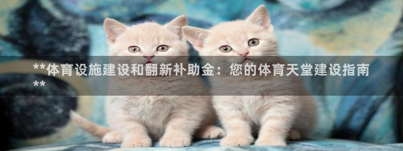 意昂体育3平台APP：**体育设施建设和翻新补助金：