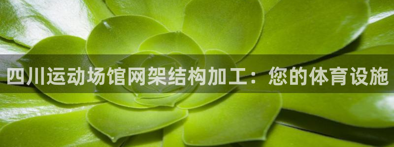 意昂体育3平台假的吗是真的吗吗：四川运动场馆网架结构