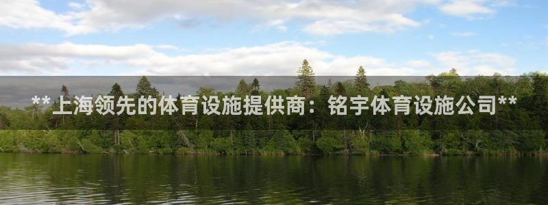 意昂体育3平台注册流程图：**上海领先的体育设施提供