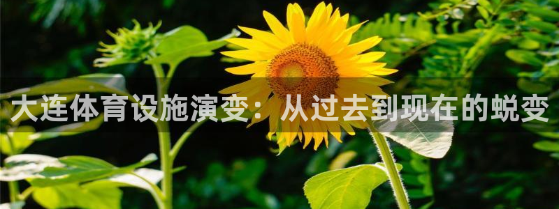 意昂体育3平台注册：大连体育设施演变：从过去到现在的