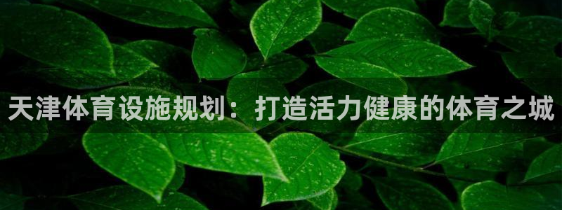 意昂体育3平台注册要钱吗安全吗：天津体育设施规划：打