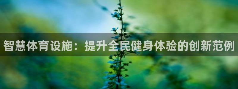意昂3集团官网首页网址：智慧体育设施：提升全民健身体