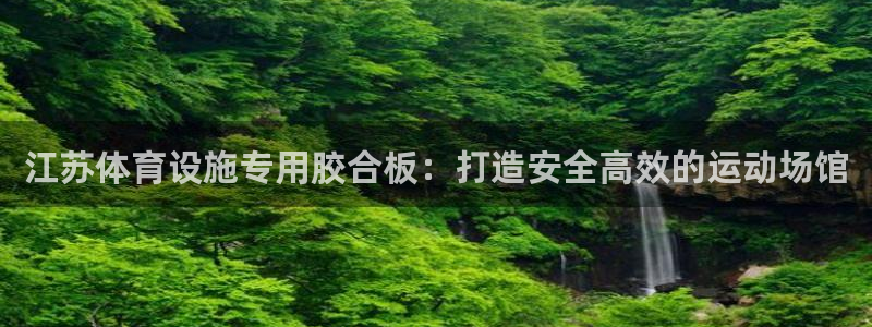 意昂体育3娱乐：江苏体育设施专用胶合板：打造安全高效