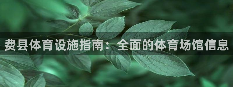 意昂3官方：费县体育设施指南：全面的体育场馆信息