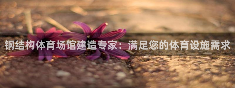意昂体育3招商电话号码是多少啊：钢结构体育场馆建造专