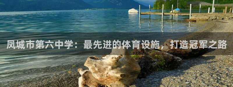 意昂3集团logo：凤城市第六中学：最先进的体育设施