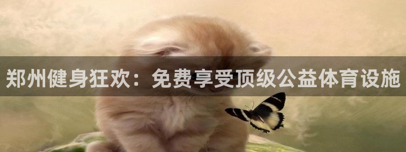 海南意昂体育3：郑州健身狂欢：免费享受顶级公益体育设