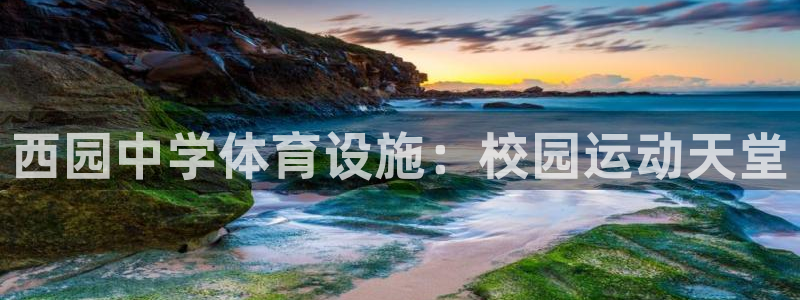 意昂3娱乐首页官网下载：西园中学体育设施：校园运动天