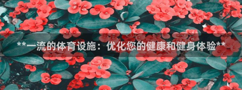 意昂体育3招商电话地址：**一流的体育设施：优化您的