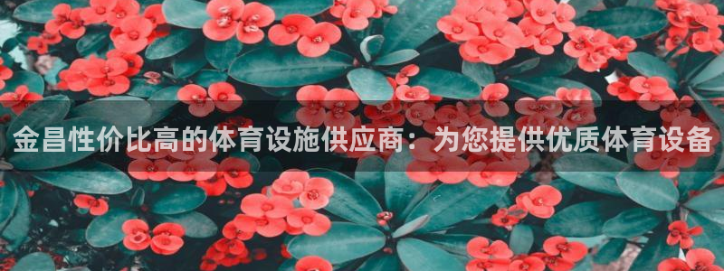 意昂体育3招商电话是多少：金昌性价比高的体育设施供应