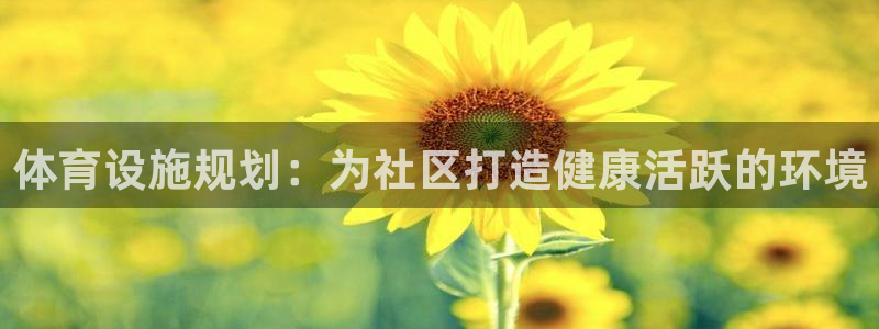意昂体育3平台注册流程图：体育设施规划：为社区打造健
