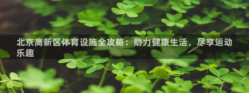 意昂体育3平台是正规平台吗知乎：北京高新区体育设施全