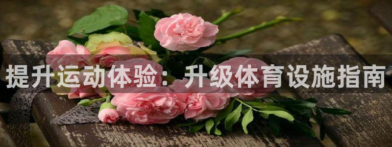 注册意昂3：提升运动体验：升级体育设施指南
