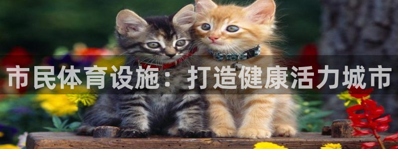 意昂体育3平台注册流程图：市民体育设施：打造健康活力