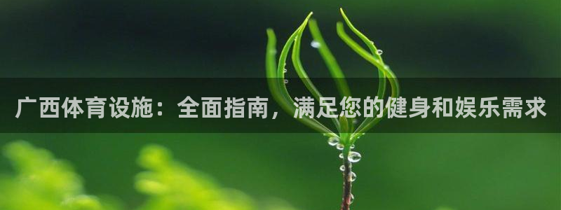 意昂3开户：广西体育设施：全面指南，满足您的健身和娱