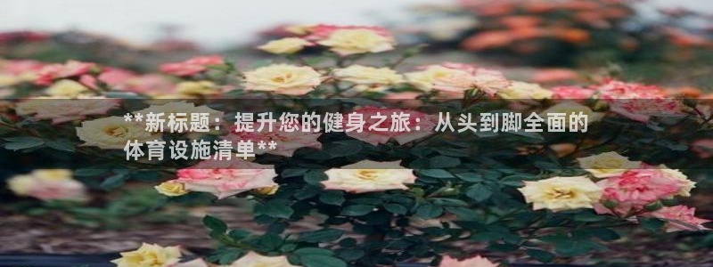 意昂3集团简介：**新标题：提升您的健身之旅：从头到