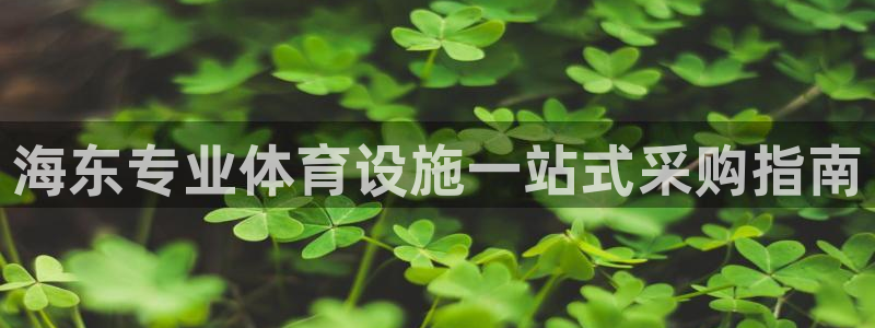 意昂体育3招商电话是多少号码：海东专业体育设施一站式