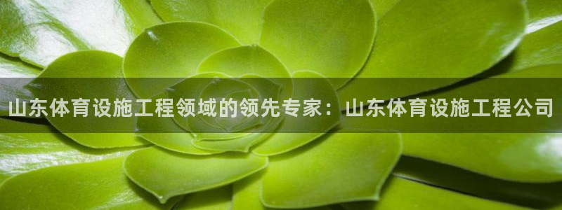 意昂体育3软件：山东体育设施工程领域的领先专家：山东