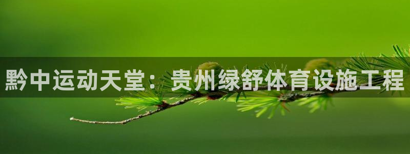 意昂3娱乐：黔中运动天堂：贵州绿舒体育设施工程